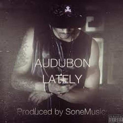 Audubon - The Subsitute