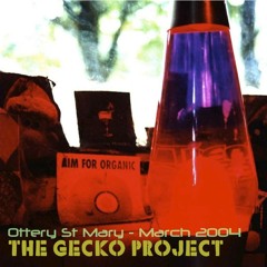 The Gecko Project Ottery Festival 26March2004