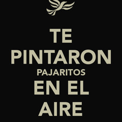 TE PINTARON PAJARITOS - REGGAETON RMX ( PROD. BY PULGUITA DJ! )