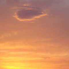 In Love With The Sun (feat. Nathalie Rochert)