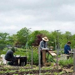 Music for Plants - Journeys
