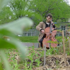 music for plants