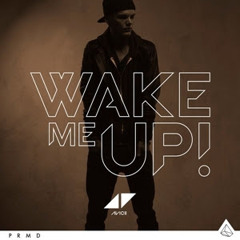 Avicii feat. Aloe Blacc- Wake Me Up (Extended Mix)