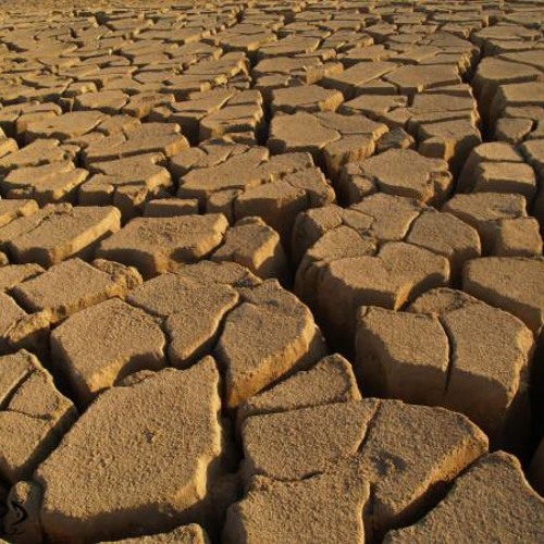 مقطع من سورة التوبة  - من روائع الشيخ عبدالله الجهني