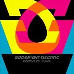 Goodnight Electric - This Is For You