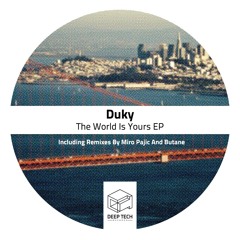 Duky - The World Is Yours (Miro Pajic Remix)