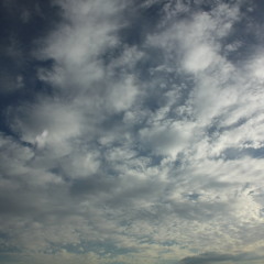 04 Iskrenost je posebna