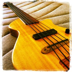 Veillette Paris Fretless 5