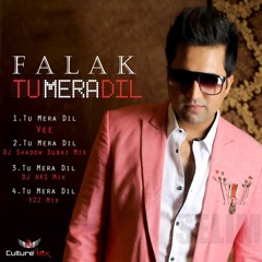 Tu Mera Dil | Falak| New Song 2013