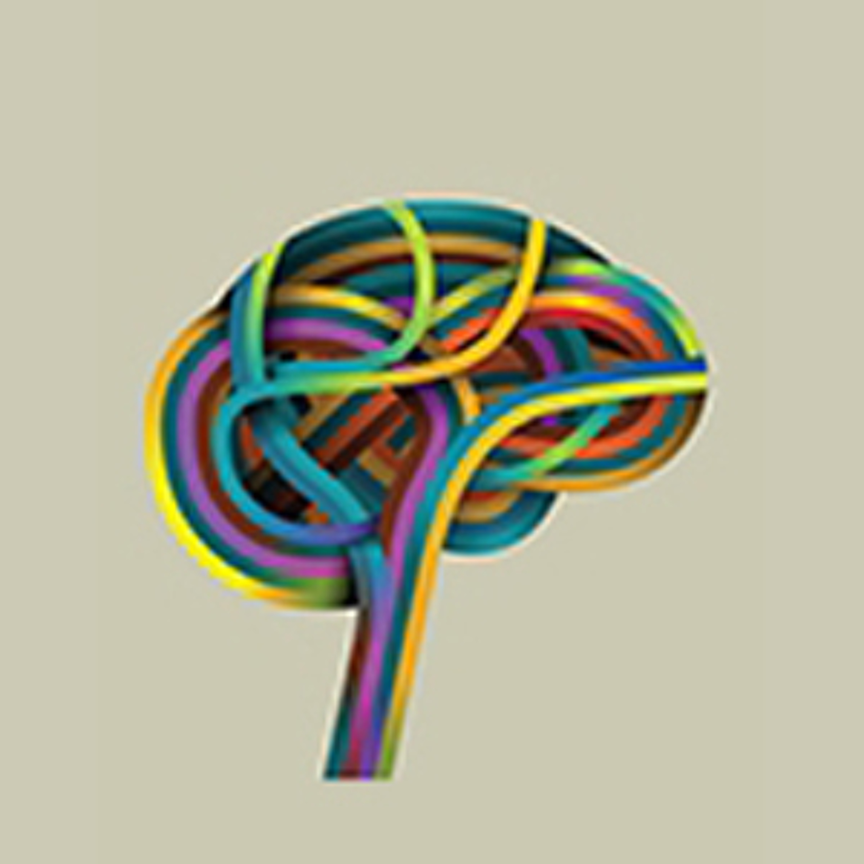 Social Sciences Series