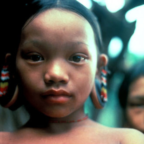 Dari²³ & Arha - Baraka