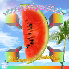 mariquitas - a mi perrito lo mataron a golpes feat. seba rulli