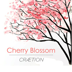 Cherry Blossum