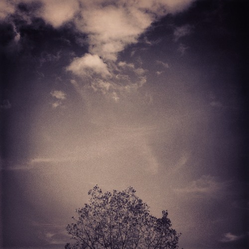 Look On Down From The Bridge (Mazzy Star cover)