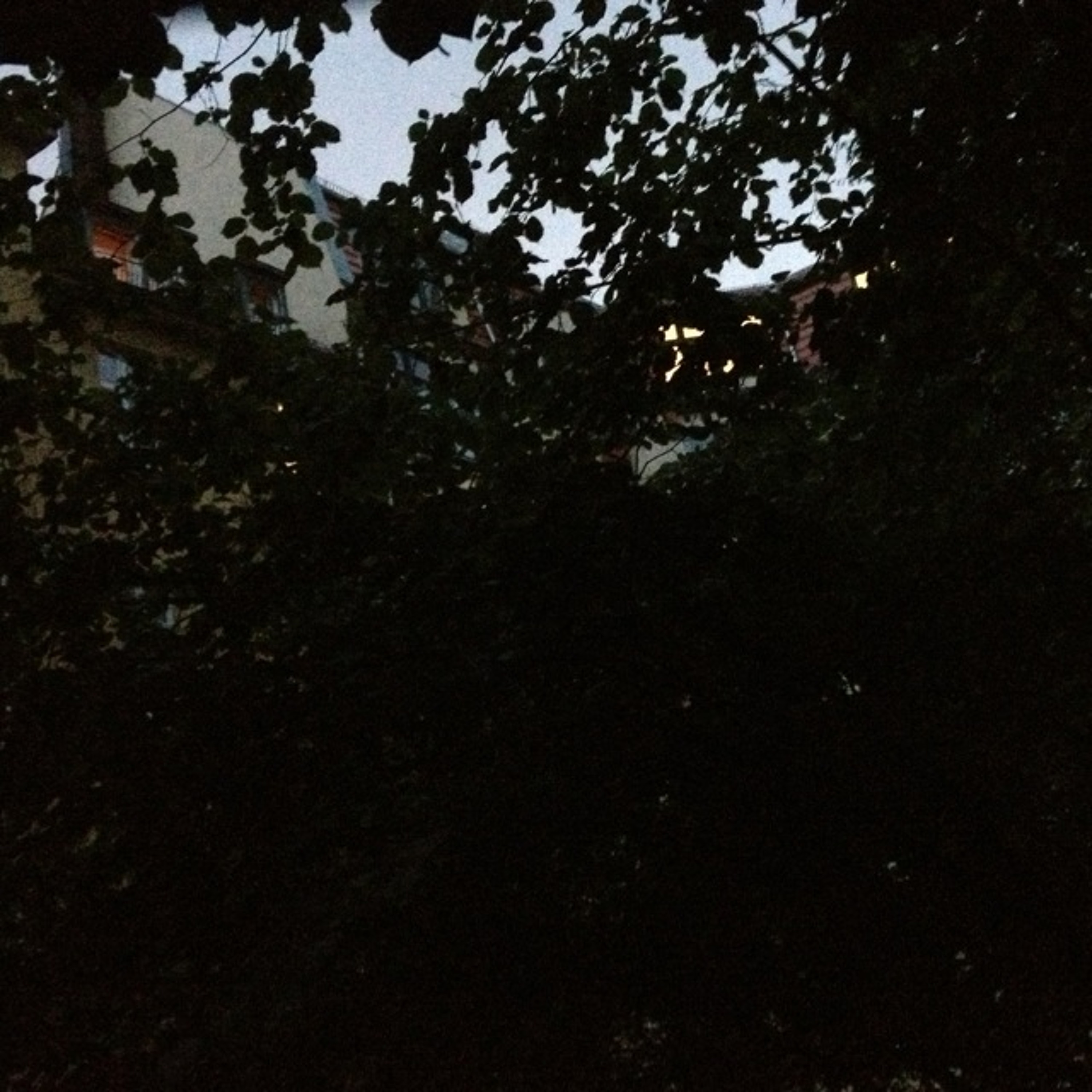 Gewitter Popitter at Engelbecken episode artwork