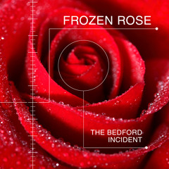 THE BEDFORD INCIDENT - Frozen Rose