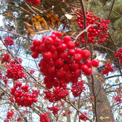 What Are You Doing The Rest Of Your Life