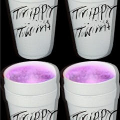 Trippy Twin$ (Twin Trill & 12/12) - Little Did They Know