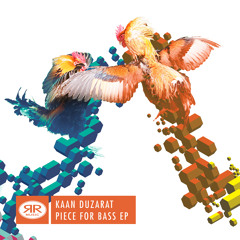 B2 Piece for Bass (Murat Kilic remix) - Kaan Düzarat / 128KBPS Preview snippet