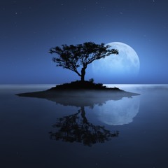 Chinese Song - "Yue Liang Dai Biao Wo De Xin"