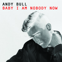 Andy Bull - Baby I Am Nobody Now