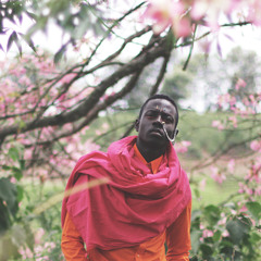 Ricky Suede - Wanderer