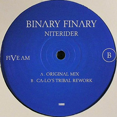 Binary Finary - Niterider (Original Mix)