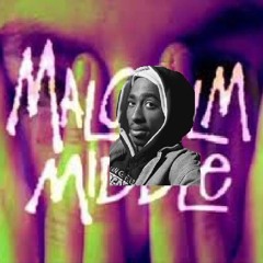 Crooked In The Middle (2Pac vs. They Might Be Giants)