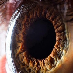 frienships-Cash-Gutter