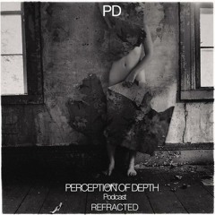 Refracted - Perception of Depth 001