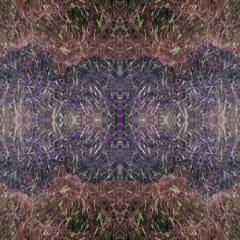 Amduat