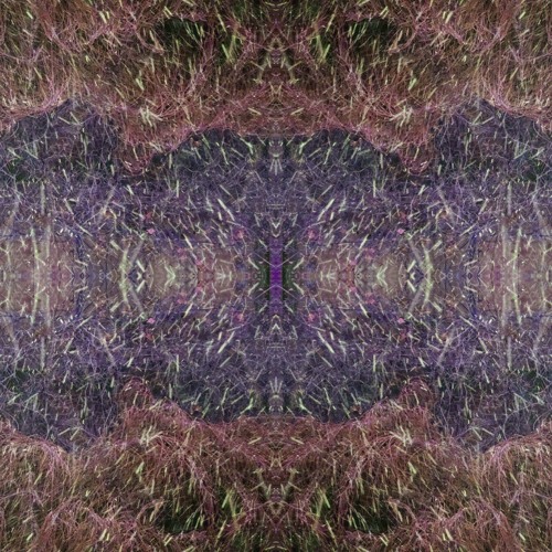 Amduat