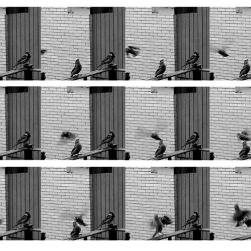 Zoetrope