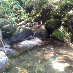 Life is not ensured - I.Q x Shankool