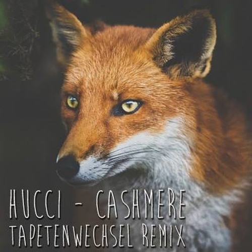 Hucci - Cashmere (Tapetenwechsel Remix)