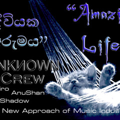 Diviyaka Arumaya (Amazing Life)  Unknown Crew Niro,Shadow,AnuShan
