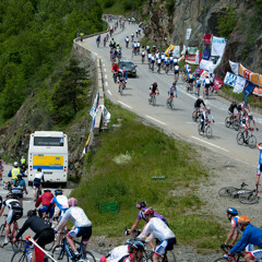 Compilatie Alpe 'd HuZes 2013