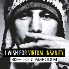 Skee Lo v. Jamiroquai "I wish for Virtual Insanity" Mash up