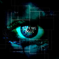 Electro House Mini Mix ft. Skrillex, Knife Party, Zedd, Zomboy and Torro Torro