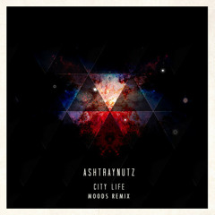 Ashtraynutz - City Life (Moods Remix)