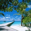 Relaxar Musica Para Estudar 1 Relaxante Piano Classica Instrumental Estudo Playlist Oceano Musicas Mp3