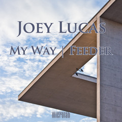 Joey Lucas - My Way (Original Mix) // Microlab MLEP007