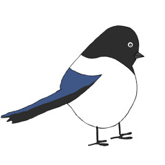 Magpie