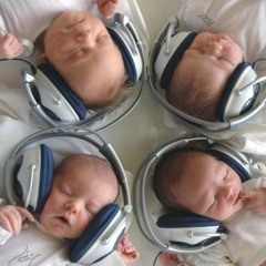The Sleep Tracks