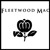 Artwork for "Sisters Of The Moon" - Fleetwood Mac