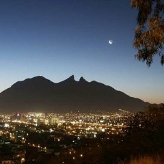 13 Ahora Y Siempre (Los Tecolines)