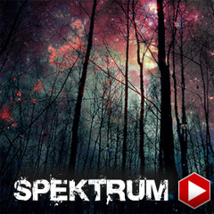 Memekast mk078 » spektrum