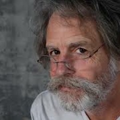 Wilco & Bob Weir - "Bird Song"