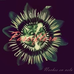 Passiflora - Noches En Vela - The Show