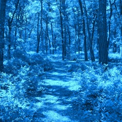 Ajna - Through The Silent Azure Paths